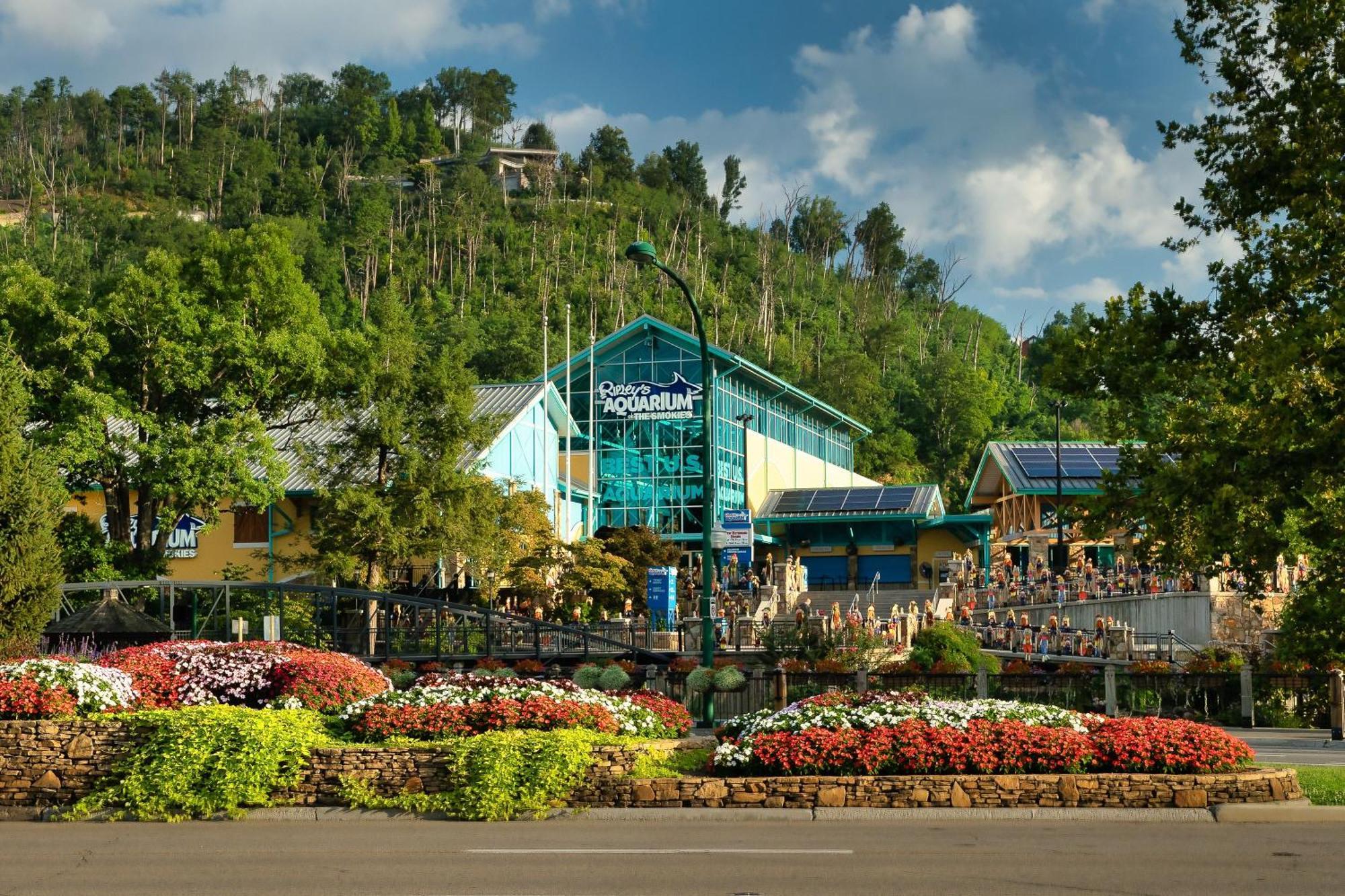 Walk To Anakeesta Romantic 1Br W Fireplace Gatlinburg Luaran gambar